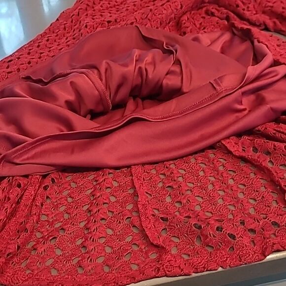 Rabbit Rabbit Rabbit Designs sz 10 burgundy red poly lace dress NWT - Picture 10 of 11